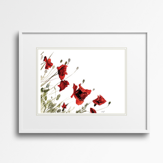 Red Poppies Giclee Art Print