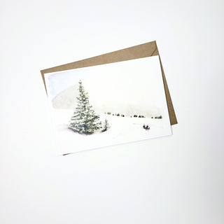 Holiday Card: Pine Tree in Snow