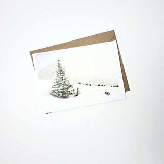 10 pack Watercolor Design Holiday Cards