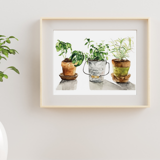 Three Potted Herbs Botanical Watercolor Giclee Art Print