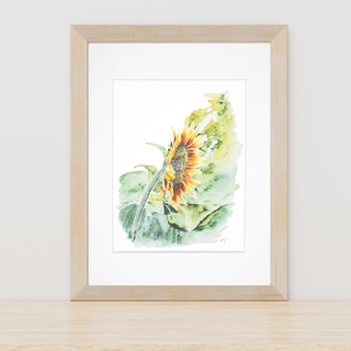 Sunflower Giclee Fine Art Watercolor Print