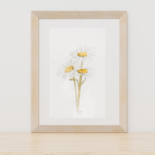 Daisies ORIGINAL 4x6 Watercolor Art