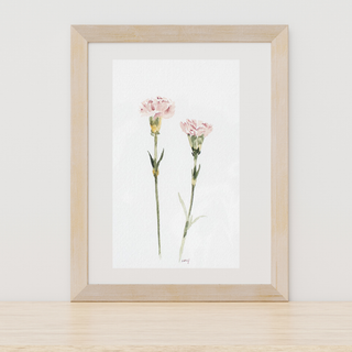 Carnation 4x6 Original Watercolor Flowers