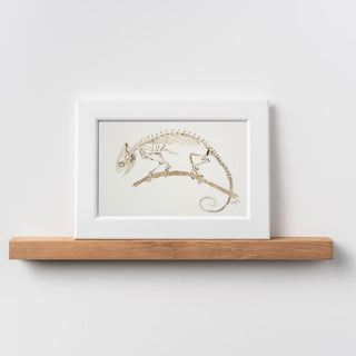 Chameleon Skeleton Watercolor Art, Hand-Painted Watercolor Halloween Art, 5x7