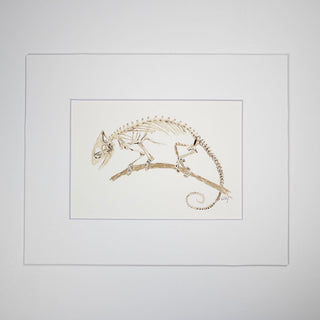 Chameleon Skeleton Watercolor Art, Hand-Painted Watercolor Halloween Art, 5x7