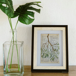 Mistletoe on Vintage Dictionary Pages, Hand-painted Watercolor Art on Recycled Paper, 4x6