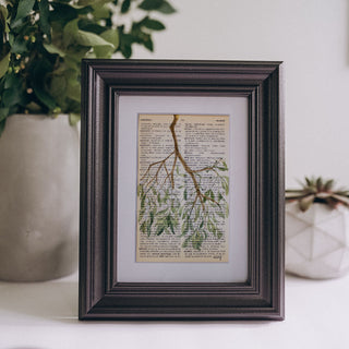 "Mistletoe" Dictionary Watercolor Print