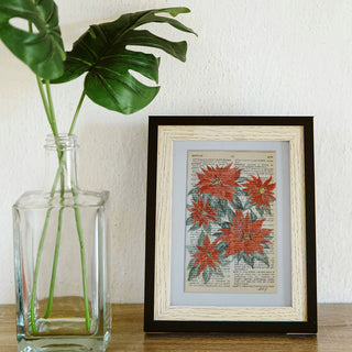 Poinsettia on Vintage Dictionary Pages, Hand-Painted Watercolor, 4x6