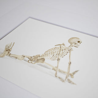 Skeleton Stretching, Original Hand-Painted Watercolor, 5x7