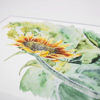 Sunflower Giclee Fine Art Watercolor Print