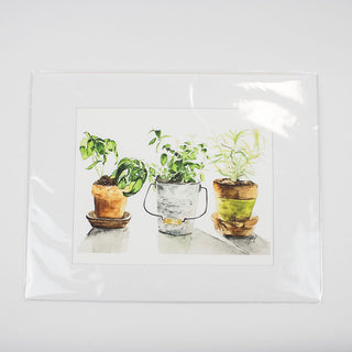 Three Potted Herbs Botanical Watercolor Giclee Art Print