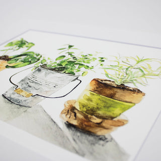 Three Potted Herbs Botanical Watercolor Giclee Art Print