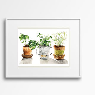 Three Potted Herbs Botanical Watercolor Giclee Art Print