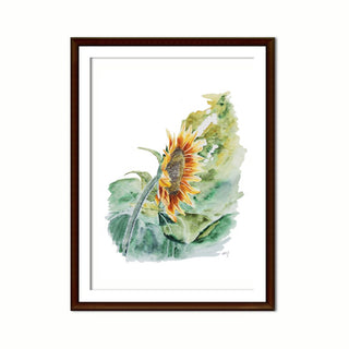 Sunflower Giclee Fine Art Watercolor Print